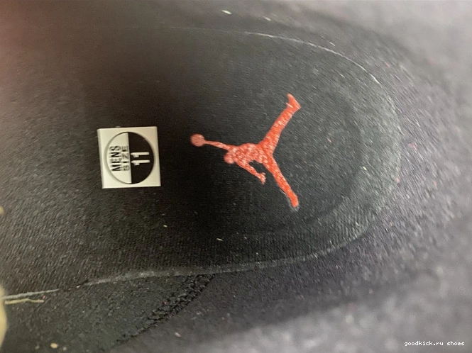Rep 13 DJ5982 JORDAN BRED